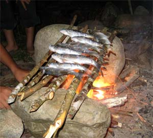 Fish Barbecue